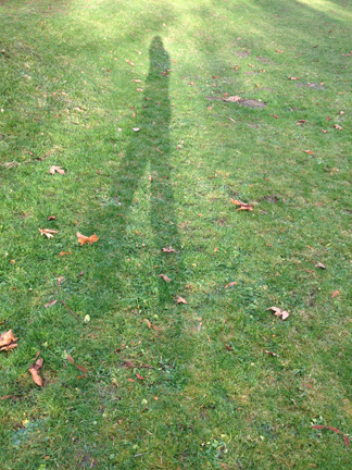 shadow